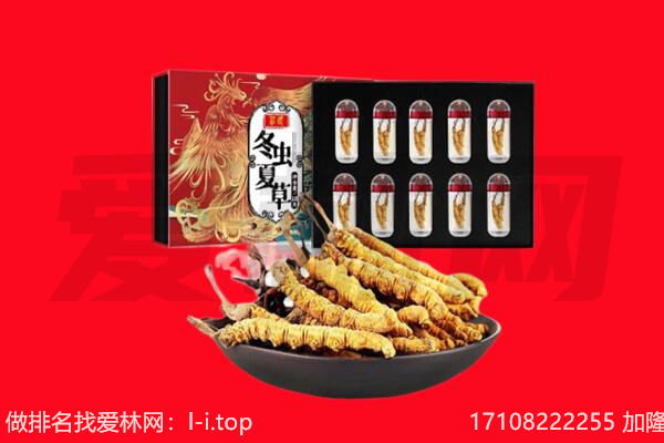 三亚回收虫草.jpg